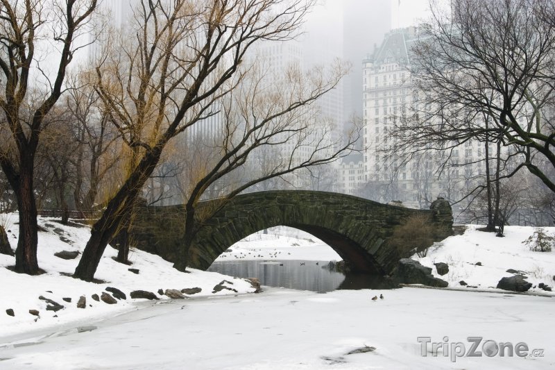 Fotka, Foto Central Park, Gapstow Bridge v zimě (New York, USA)