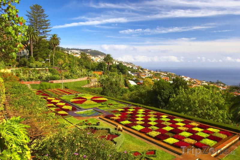 Fotka, Foto Funchal, botanická zahrada (Madeira, Portugalsko)