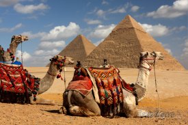 Gíza, velbloudi a pyramidy