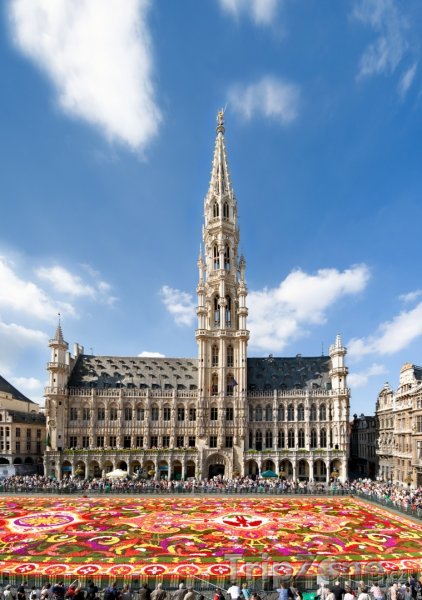 Fotka, Foto Grand Place, květinový koberec před radnicí (Brusel, Belgie)