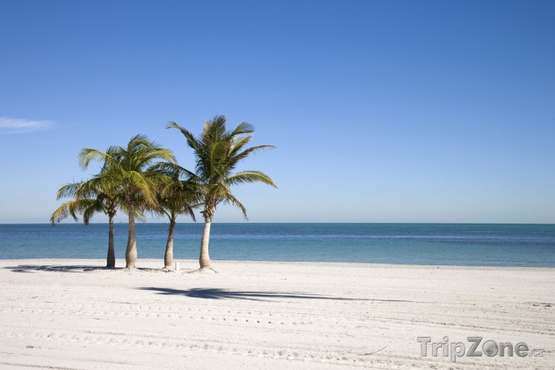 Fotka, Foto Key Biscayne, pláž (Florida, USA)