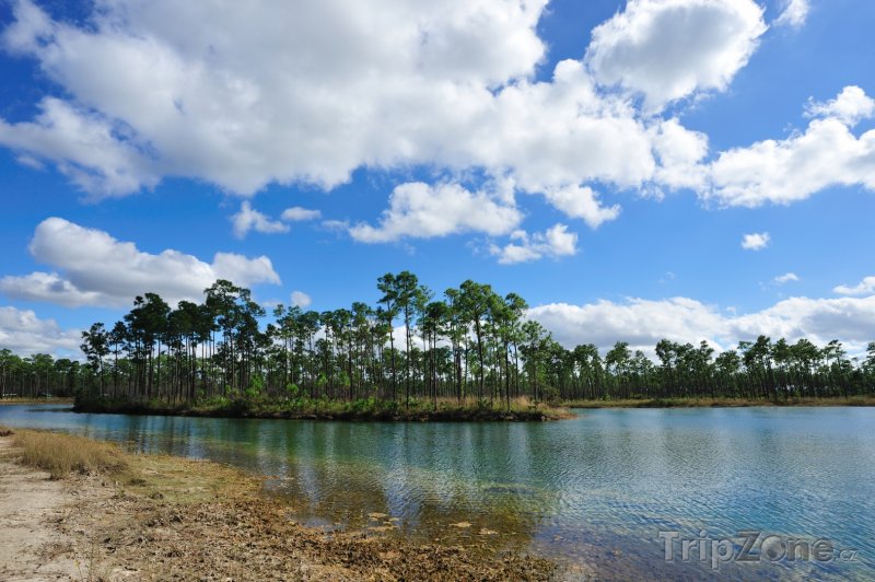 Fotka, Foto Národní park Everglades (Florida, USA)