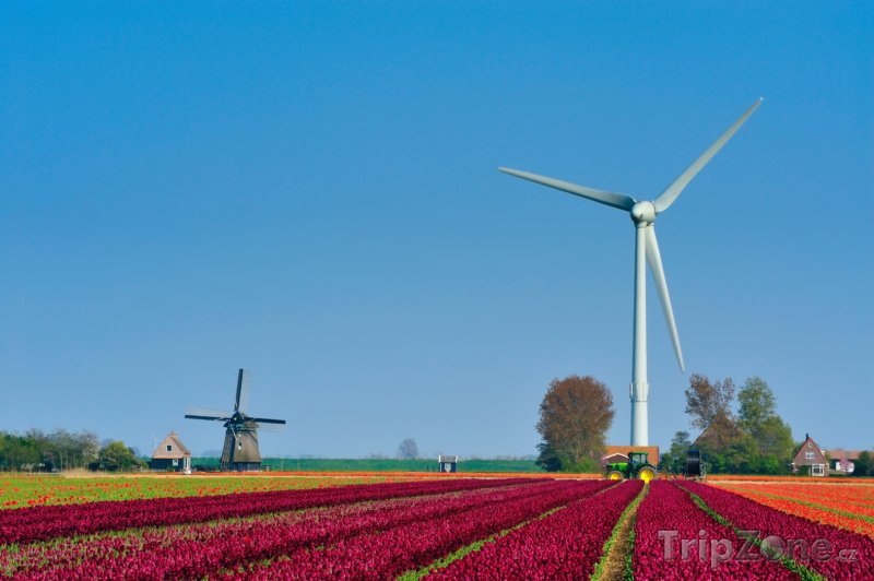 Fotka, Foto Nizozemský venkov (Nizozemsko)