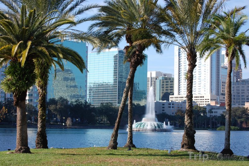 Fotka, Foto Orlando, palmy na břehu Lake Eola (Florida, USA)