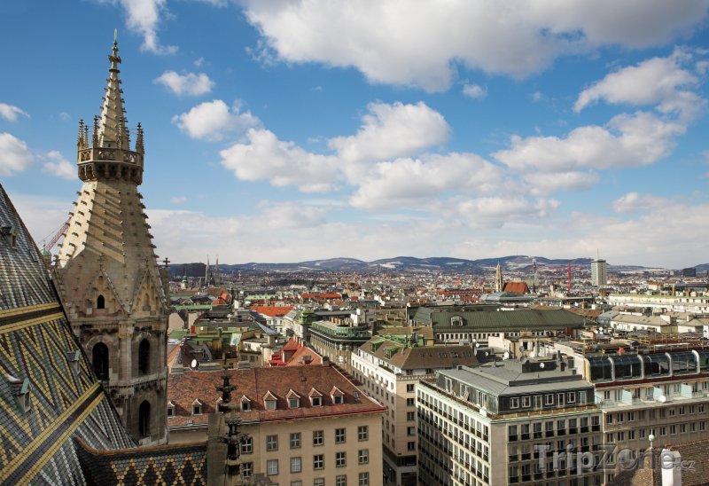 Fotka, Foto Panoráma města z věže katedrály (Vídeň, Rakousko)