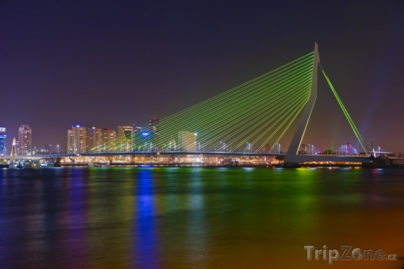 Fotka, Foto Rotterdam, most Erasmusbrug (Nizozemsko)
