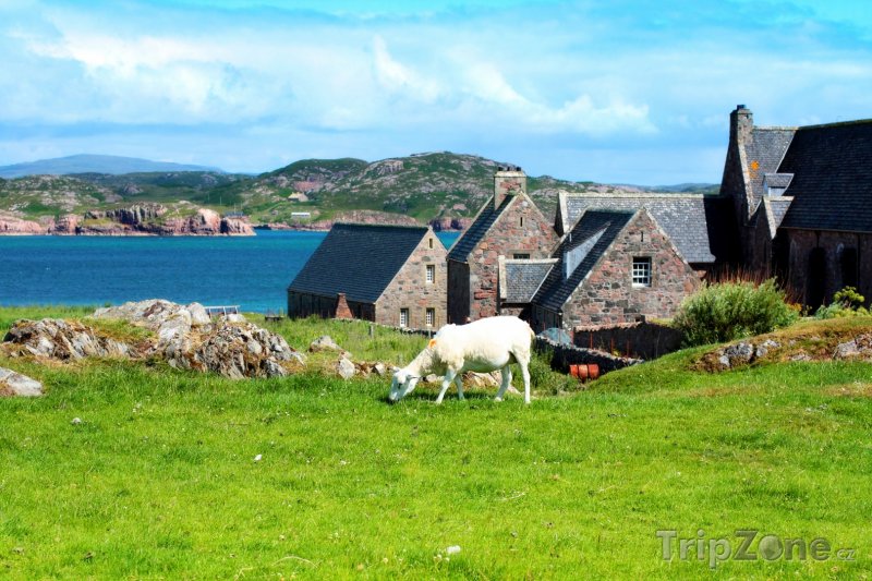 Fotka, Foto Skotsko, krajina ostrova Iona (Velká Británie)