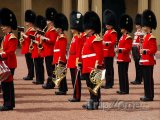 Stráže u Buckinghamského paláce