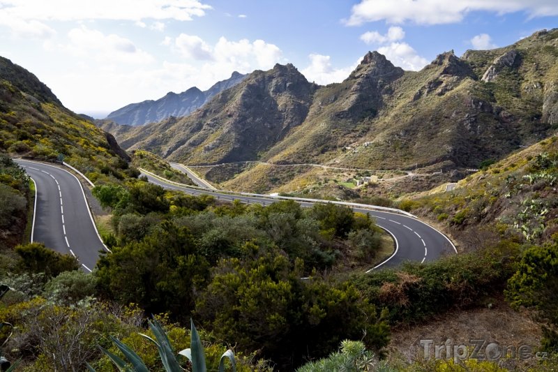 Fotka, Foto Tenerife, silnice vedoucí na Pico del Teide (Kanárské ostrovy, Španělsko)