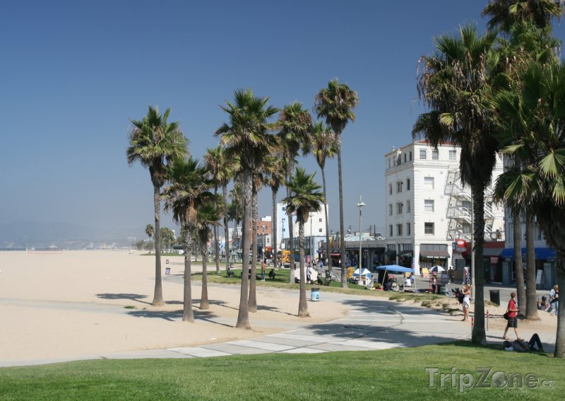 Fotka, Foto Venice Beach (Los Angeles, USA)