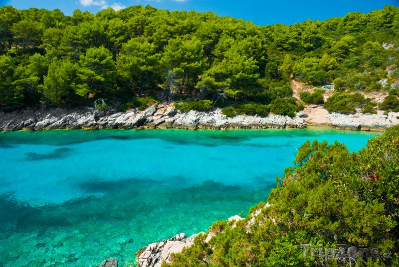 Fotka, Foto Záliv na ostrově Korčula (Chorvatsko)