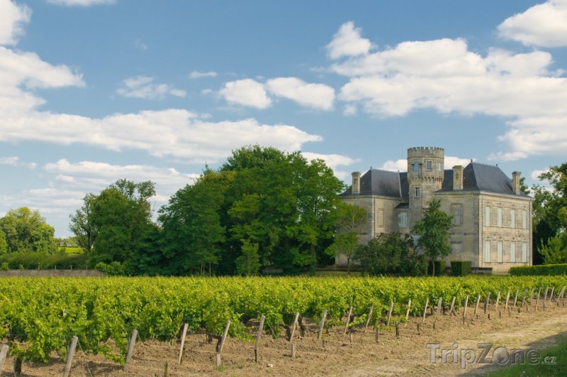 Fotka, Foto Zámek a vinice v Margaux, nedaleko Bordeaux (Bordeaux, Francie)