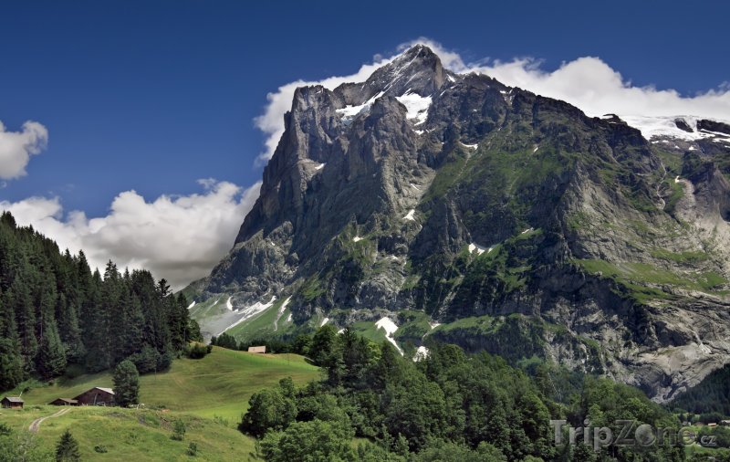 Fotka, Foto Alpské pahorky u obce Grindelwald (Švýcarsko)