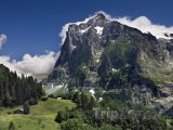 Alpské pahorky u obce Grindelwald