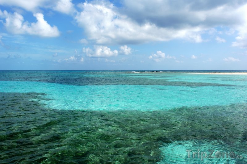 Fotka, Foto Bariéra Belize - druhý největší korálový útes na světě (Belize)