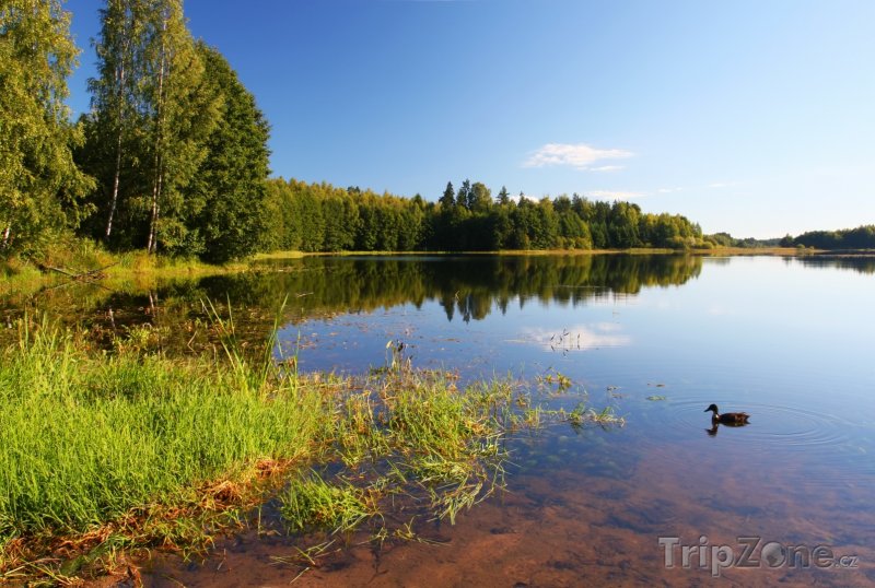 Fotka, Foto Jezero Soodla v létě (Estonsko)