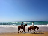 Koně na pláži v Sodwana Bay National Park