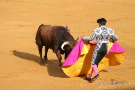 Korida v Seville - souboj toreadora s býkem