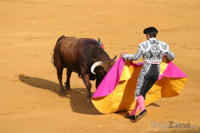Fotka, Foto Korida v Seville - souboj toreadora s býkem (Španělsko)