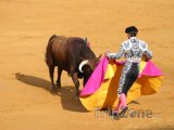 Korida v Seville - souboj toreadora s býkem