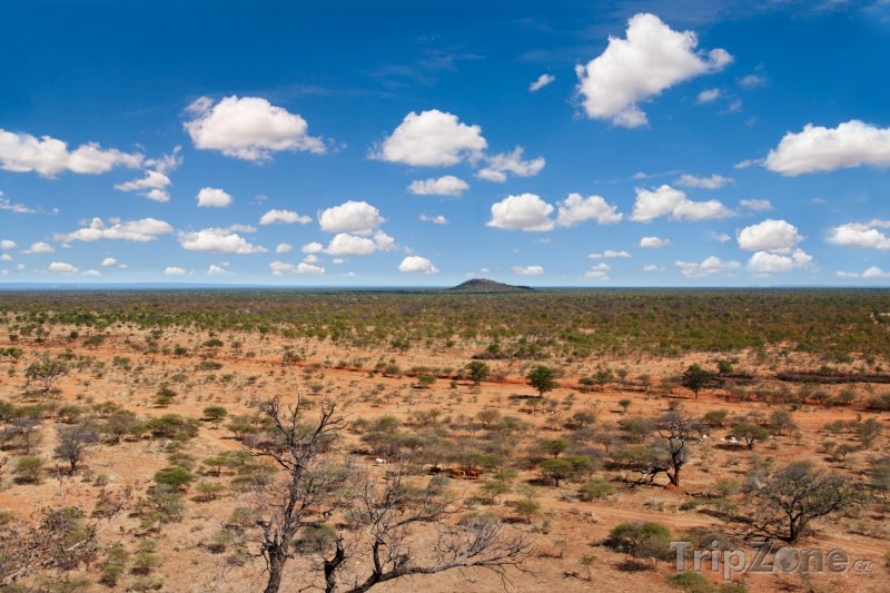 Fotka, Foto Krajina národního parku Chobe (Botswana)