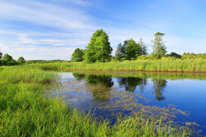 Fotka, Foto Krajina podél řeky Bereziny (Bělorusko)