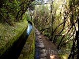 Madeira - zavlažovací kanál Levada