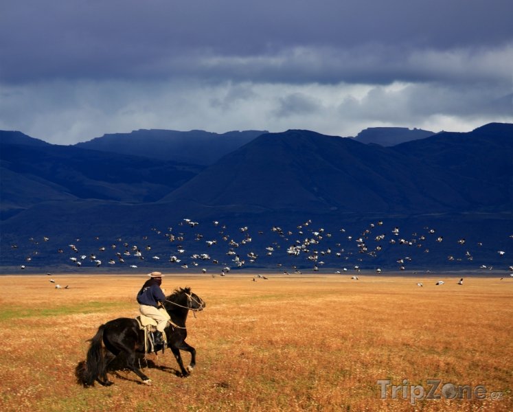 Fotka, Foto Patagonie, gaucho se řítí krajinou (Argentina)