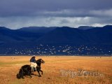 Patagonie, gaucho se řítí krajinou