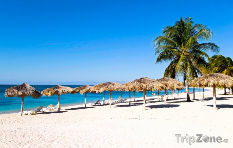 Fotka, Foto Písčitá pláž se slunečníky (Kuba)