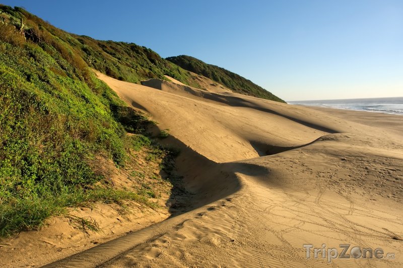 Fotka, Foto Písečná duna v národním parku Sodwana Bay (Jihoafrická republika)