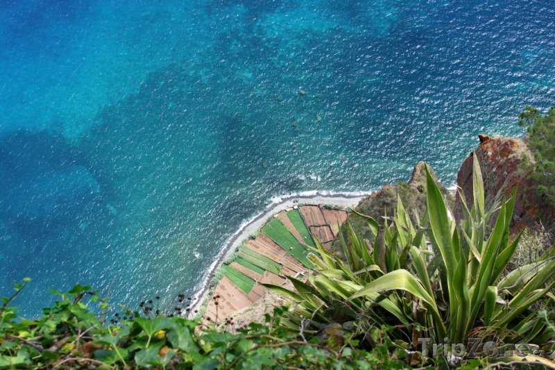 Fotka, Foto Pohled z útesu Cabo Girao - Madeira (Madeira, Portugalsko)