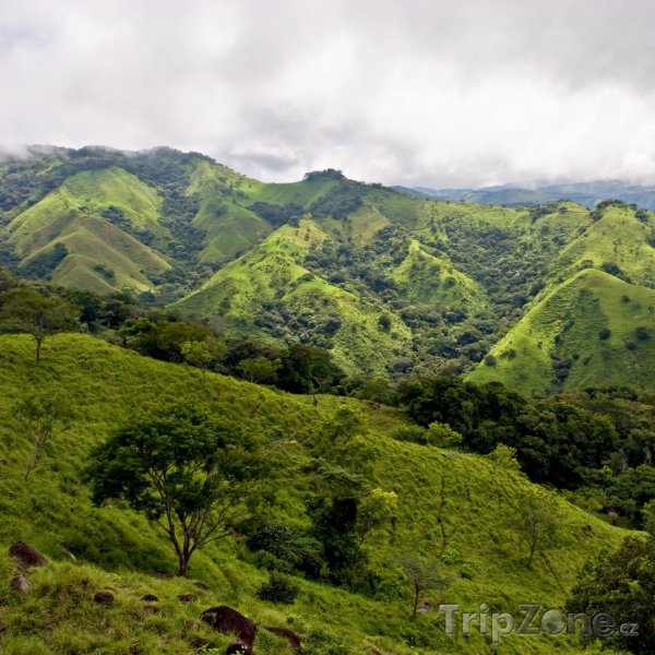 Fotka, Foto Příroda u Monteverde (Kostarika)