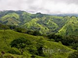 Příroda u Monteverde