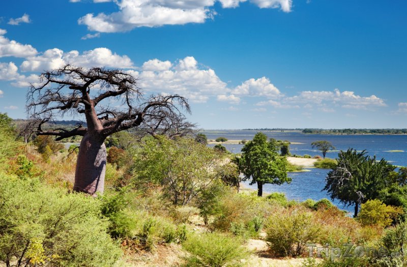 Fotka, Foto Řeka Kwando v oblasti Ngamiland (Botswana)