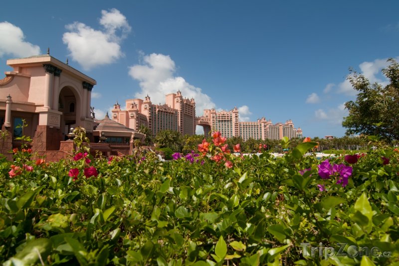 Fotka, Foto Resort Atlantis Royal Towers, zahrada (Bahamy)