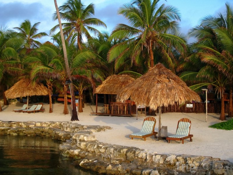 Fotka, Foto Resort na Amergris Caye - největším ostrově Belize (Belize)