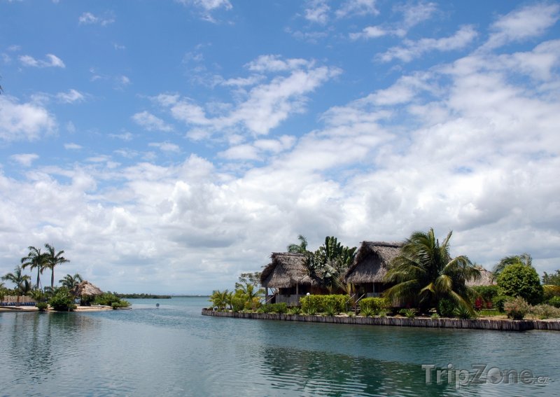 Fotka, Foto Romantické ubytování mezi palmami (Belize)