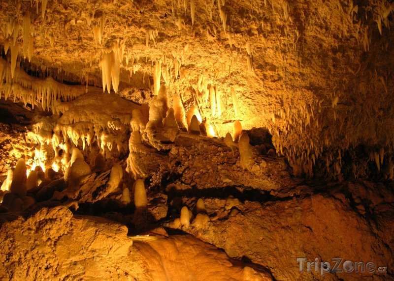 Fotka, Foto Saint Thomas Harrisonova jeskyně (Barbados)