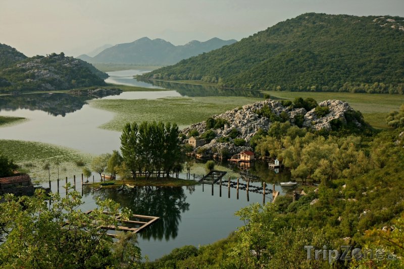 Fotka, Foto Skadarské jezero (Černá Hora)