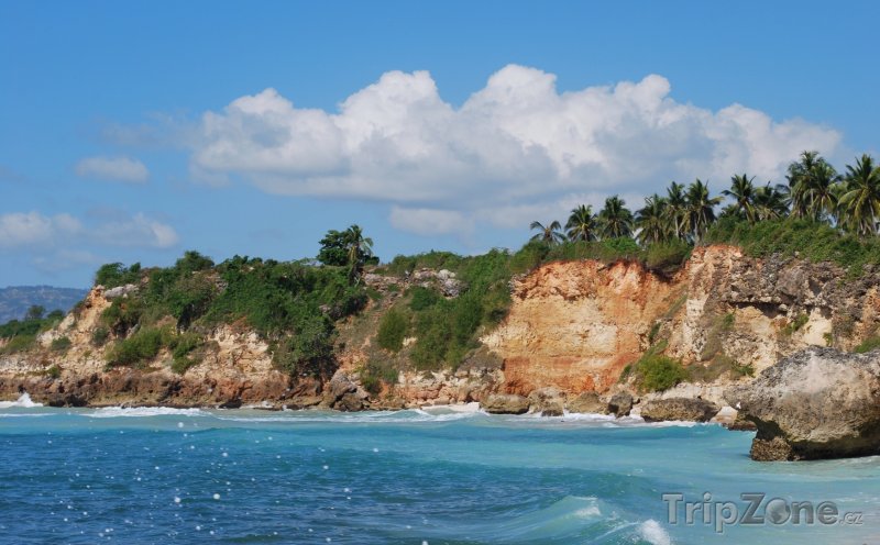 Fotka, Foto Skalní pobřeží s palmami (Haiti)