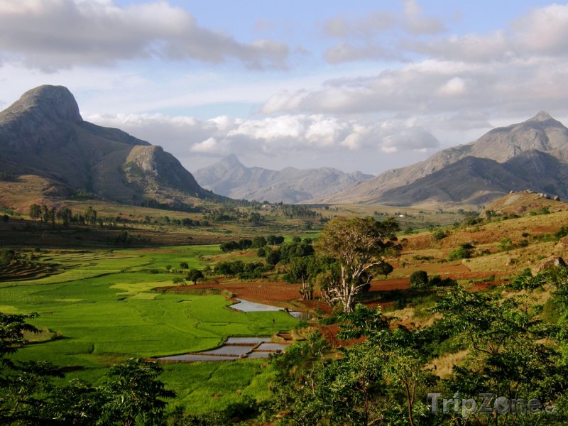 Fotka, Foto Dechberoucí pohled do přírody (Madagaskar)