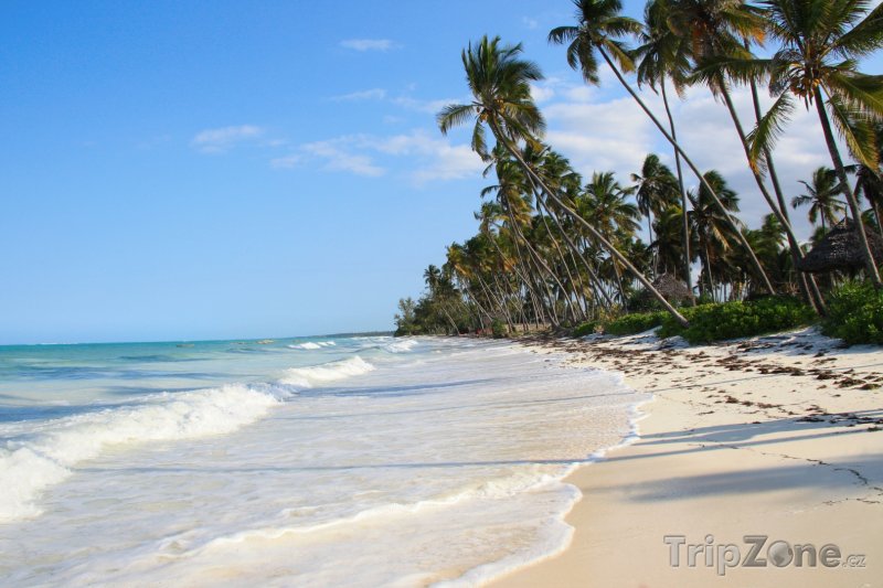 Fotka, Foto Exotická pláž na ostrově Zanzibar (Tanzanie)
