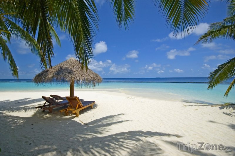 Fotka, Foto Exotická pláž s lehátky (Maledivy)