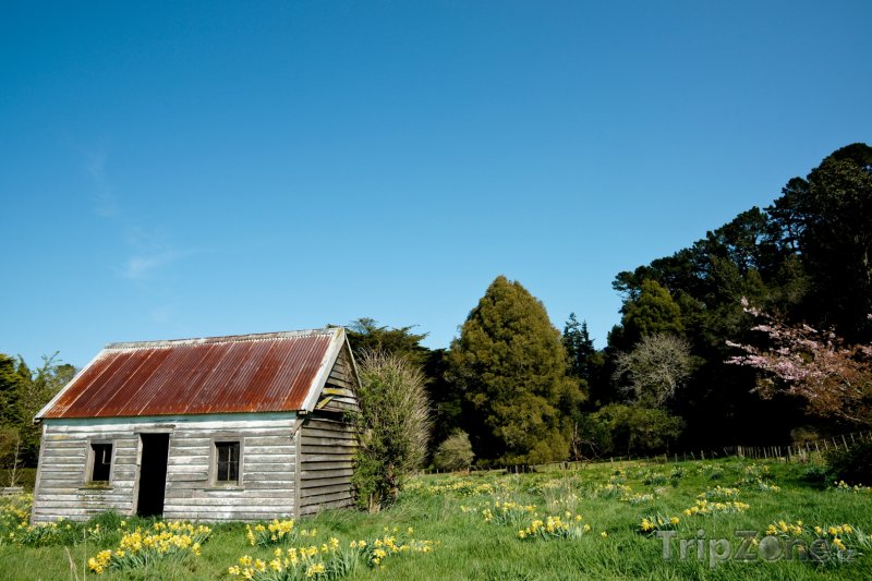 Fotka, Foto Farmářský domek v regionu Taranaki (Nový Zéland)