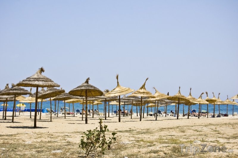 Fotka, Foto Hammamet, pláž (Tunisko)