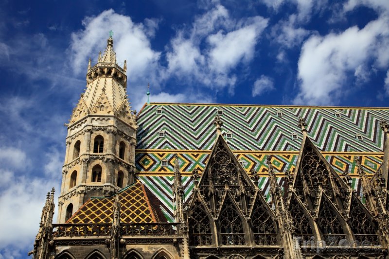 Fotka, Foto Katedrála sv. Štěpána (Stephansdom) (Vídeň, Rakousko)