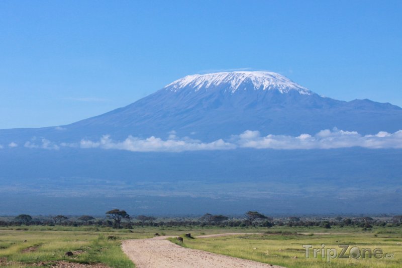 Fotka, Foto Kilimandžáro - nejvyšší hora Afriky (Tanzanie)