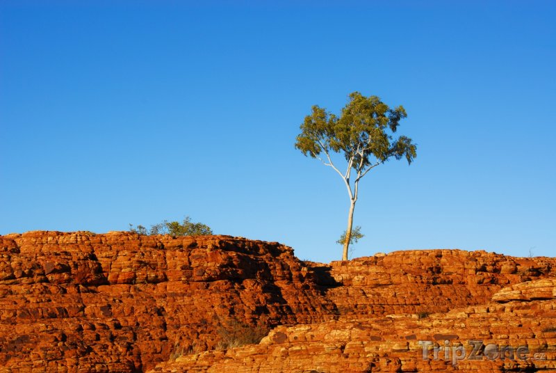 Fotka, Foto Kings Canyon v národním parku Watarrka (Austrálie)