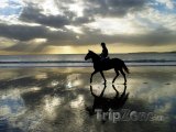 Kůň při západu slunce na pobřeží Atlantiku